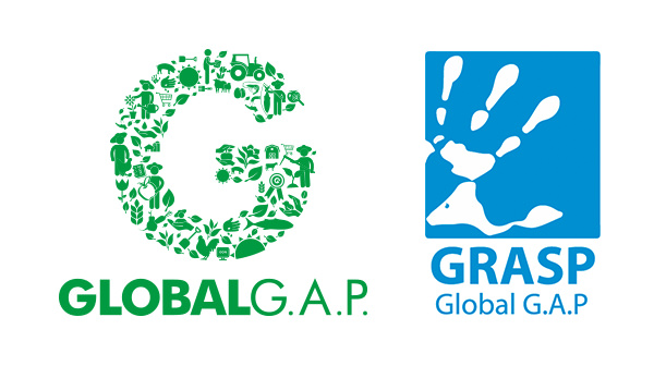https://www.farolfifruit.it/wp-content/uploads/2024/03/global-gap-grasp.jpg