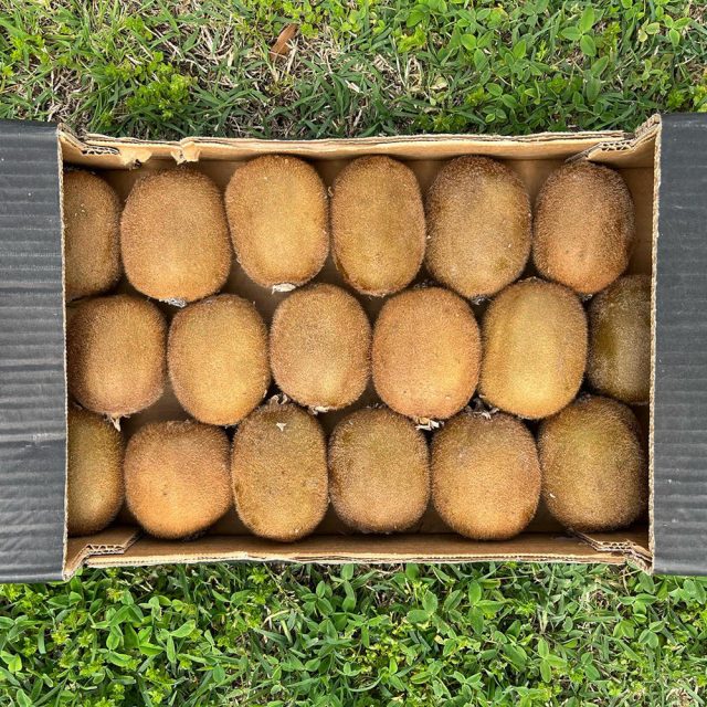 KIWI VERDE_imballaggio https://www.farolfifruit.it/wp-content/uploads/2024/04/KIWI-VERDE_imballaggio-640x640.jpg