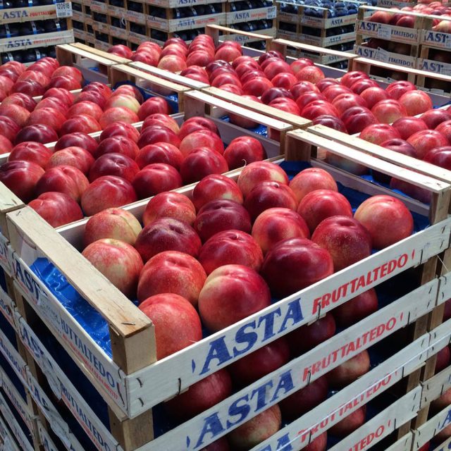 nett-bianche-confezionamento https://www.farolfifruit.it/wp-content/uploads/2024/04/nett-bianche-confezionamento-640x640.jpg