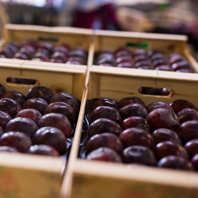Harvested purple plums in wooden crates stacked in warehouse Closeup of freshly harvested ripe organic purple plums in wooden crates stacked in storage warehouse. Rich farm harvest