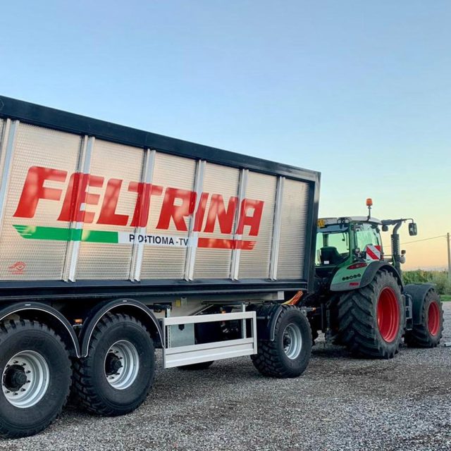 vite-conferimento https://www.farolfifruit.it/wp-content/uploads/2024/04/vite-conferimento-640x640.jpg